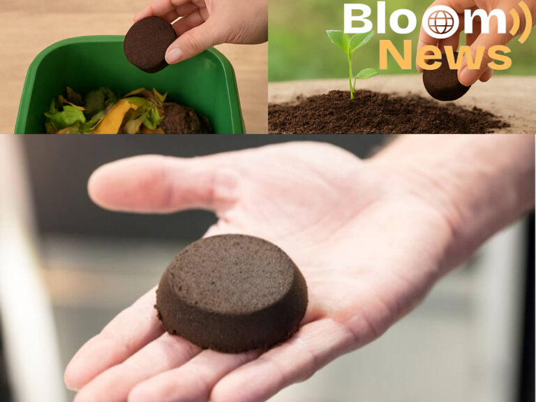 Pucks entsorgen – Für eine fachgerechte nachhaltige Entsorgung Pucks entsorgen – Für eine fachgerechte nachhaltige Entsorgung